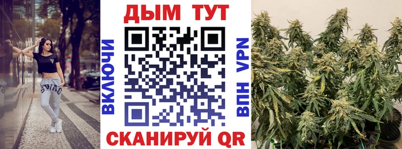Магазины продажи наркотиков Сычёвка Гашиш  Каннабис  Альфа ПВП  Мефедрон 