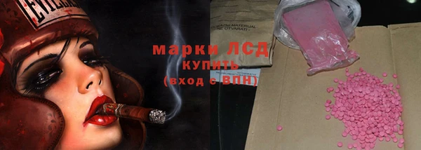 ГАЛЛЮЦИНОГЕННЫЕ ГРИБЫ Аркадак
