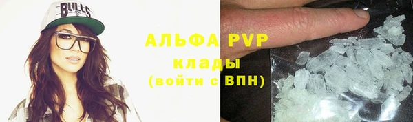 ГАЛЛЮЦИНОГЕННЫЕ ГРИБЫ Аркадак