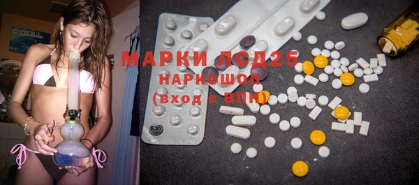 ГАЛЛЮЦИНОГЕННЫЕ ГРИБЫ Аркадак