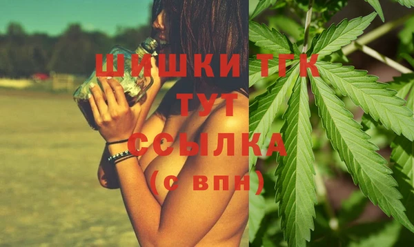 ГАЛЛЮЦИНОГЕННЫЕ ГРИБЫ Аркадак