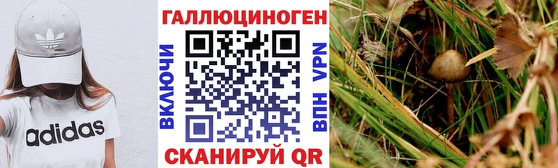 продажа наркотиков  Сычёвка  Псилоцибиновые грибы Cubensis 